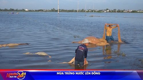 Mùa Trứng Nước Lên đồng (1)