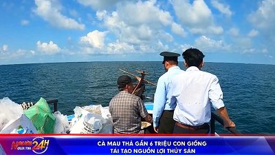 Cà Mau Thả Gần 6 Triệu Con Giống Tái Tạo Nguồn Lợi Thủy Sản (1)